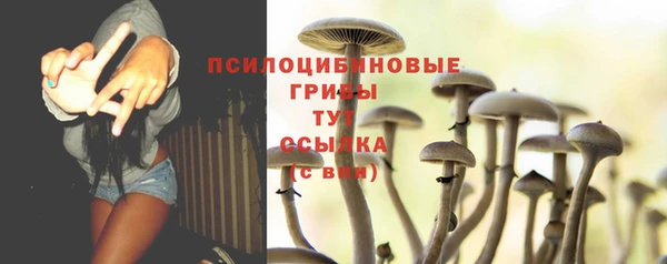 экстази Богородицк