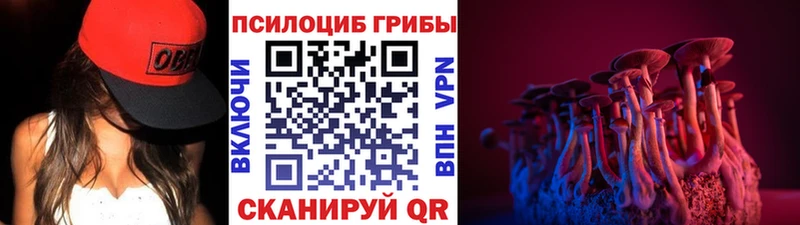 ОМГ ОМГ ссылки Новозыбков Галлюциногенные грибы GOLDEN TEACHER наркота