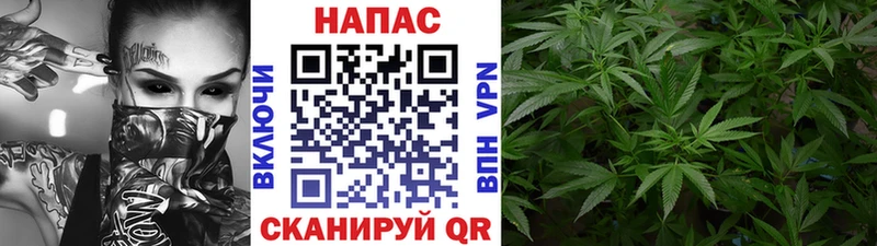 Бошки Шишки тримм  где купить наркоту  Новозыбков 
